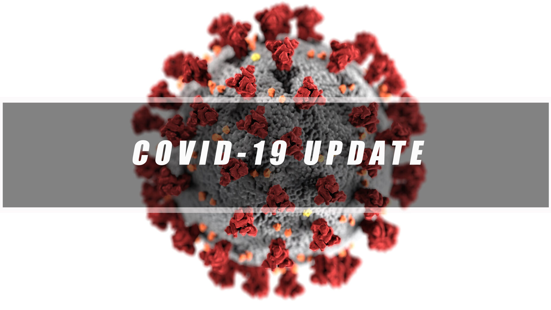 COVID-19 Update
